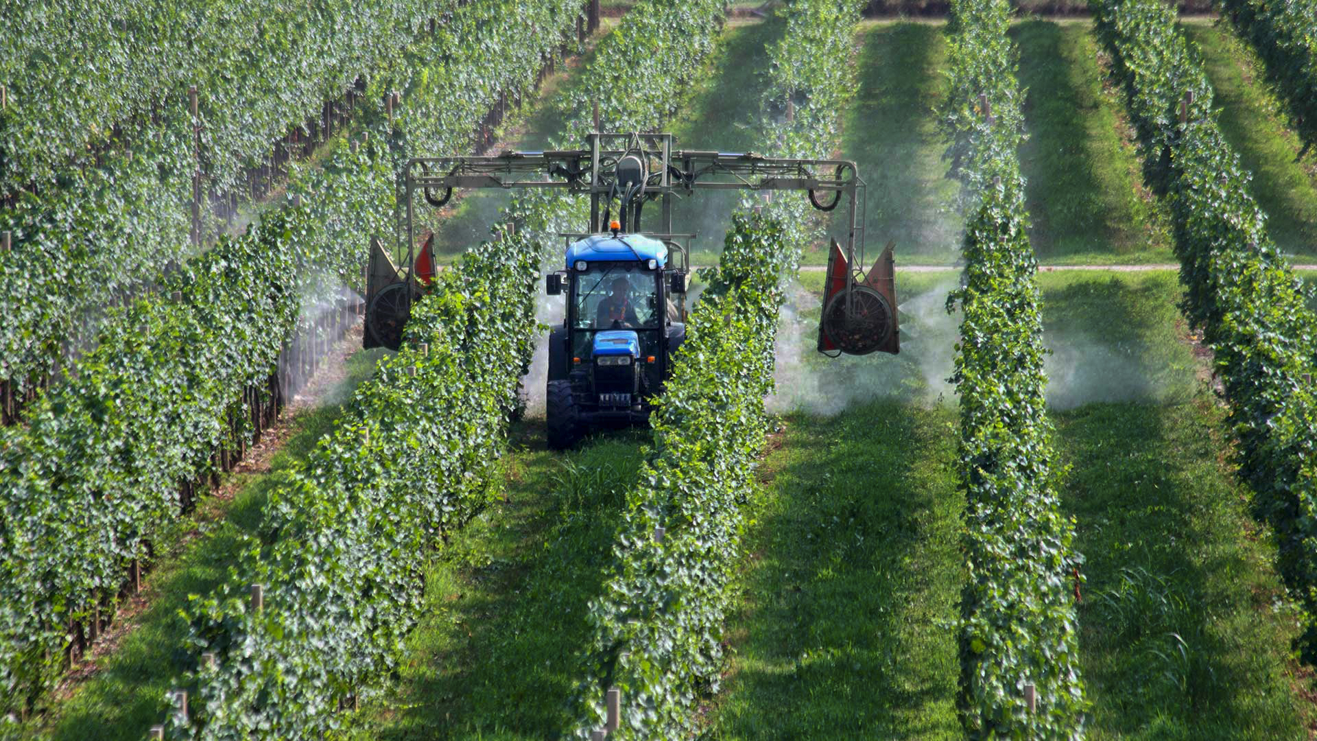 agricoltura pesticidi fito farmaci