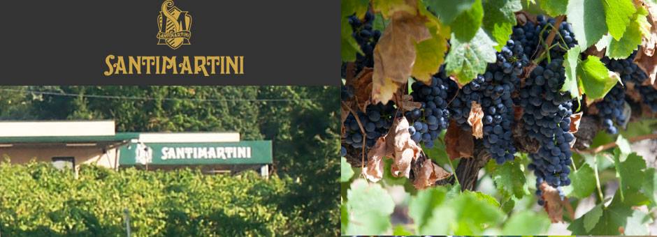 azienda santimartini